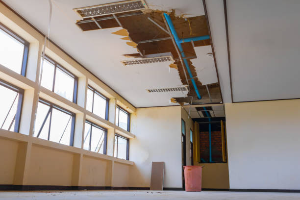 Best Local water damage restoration  in Tecumseh, MI