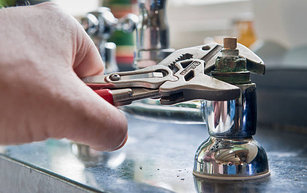 Best Flood damage cleanup  in Tecumseh, MI