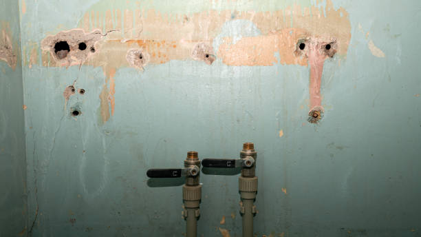 Best Emergency water damage restoration  in Tecumseh, MI