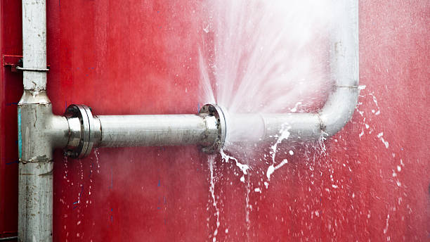 Best Fire Damage Restoration  in Tecumseh, MI