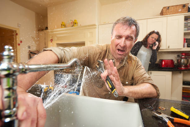 Best Flooded house restoration  in Tecumseh, MI